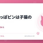 猫のしっぽピンは子猫の名残