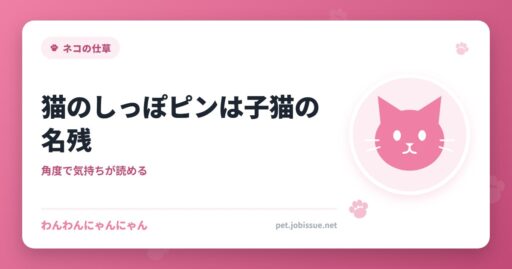 猫のしっぽピンは子猫の名残