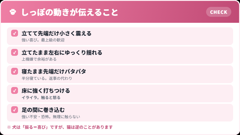 猫のしっぽの動きと気持ちのチェックリスト