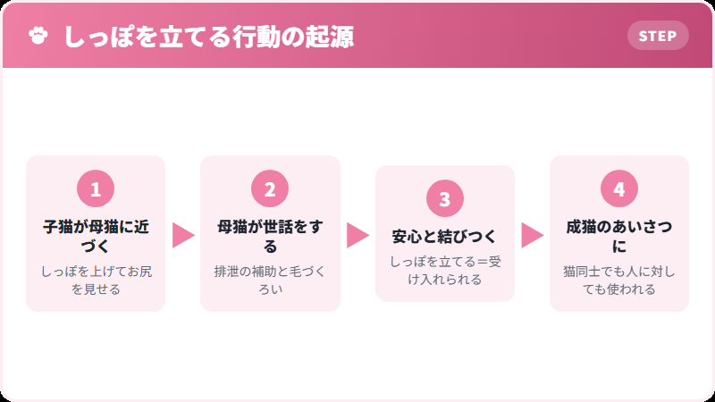猫がしっぽを立てる行動の起源を示す図