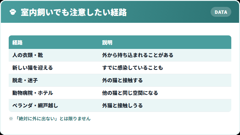 室内飼いでも感染しうる経路