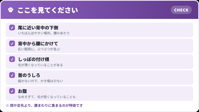 出やすい場所