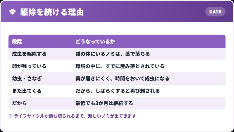 三か月続ける理由