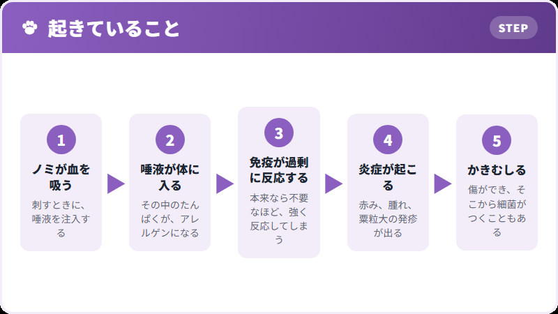 なぜかゆくなるのか