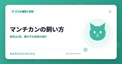 マンチカンの飼い方