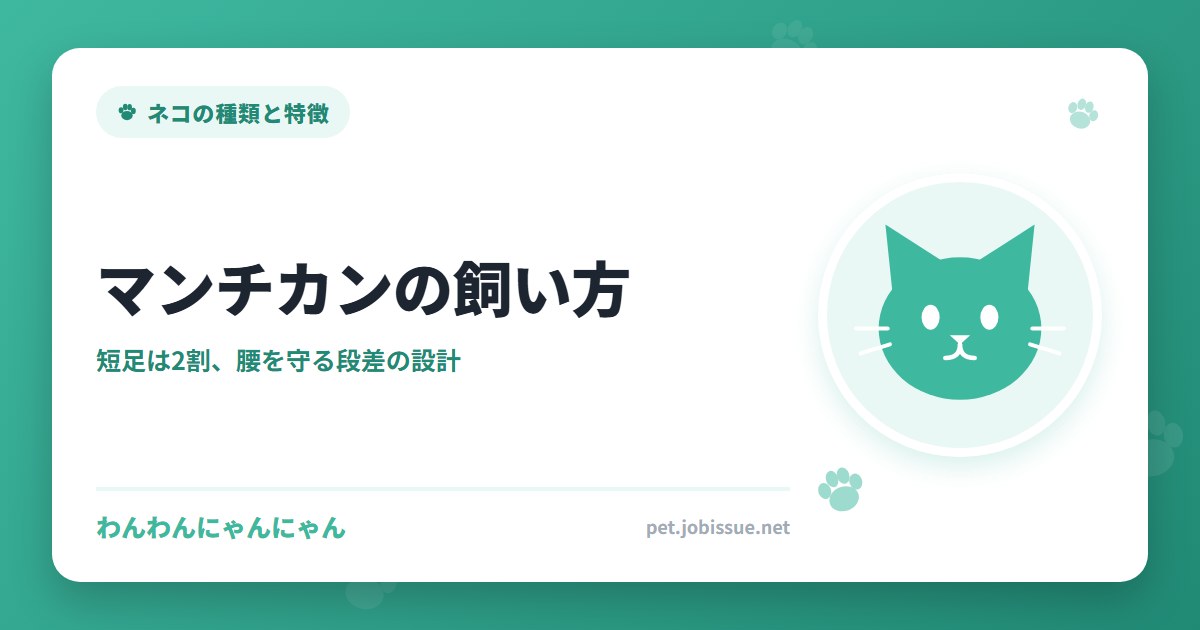 マンチカンの飼い方