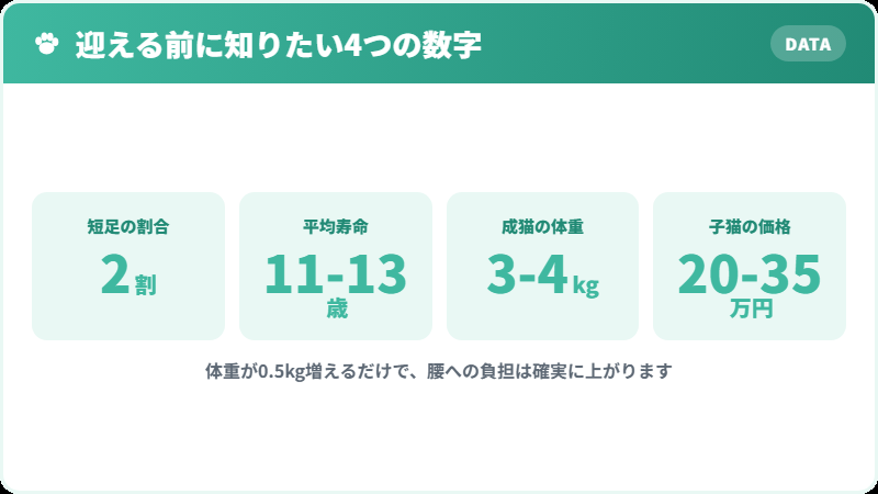 マンチカンを迎える前に知っておきたい4つの数字