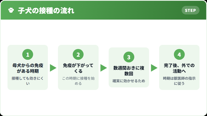 子犬の接種スケジュールの考え方