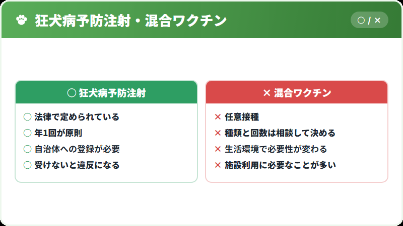 狂犬病予防注射と混合ワクチンの違い