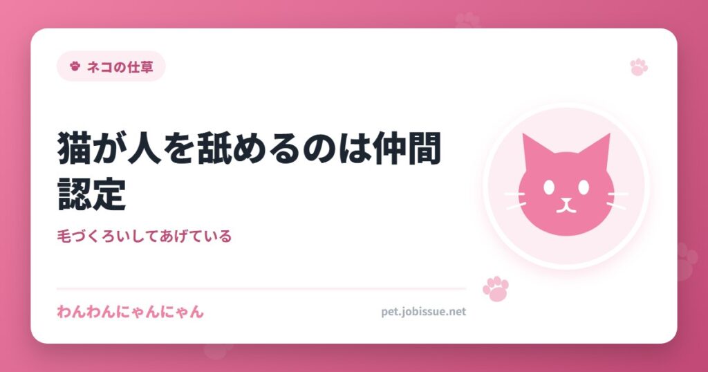 猫が人を舐めるのは仲間認定