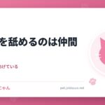 猫が人を舐めるのは仲間認定