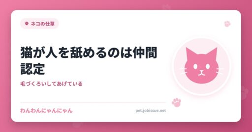 猫が人を舐めるのは仲間認定