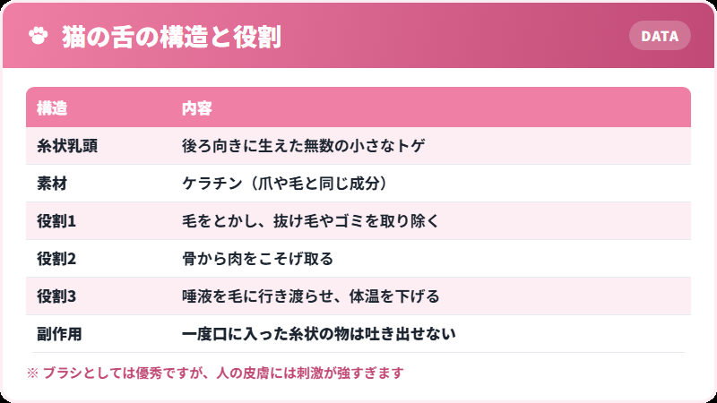 猫の舌がザラザラしている理由の解説図
