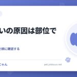 犬の臭いの原因は部位でわかる