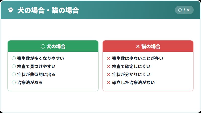 犬と猫でのフィラリアの違い