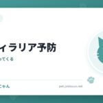 猫のフィラリア予防