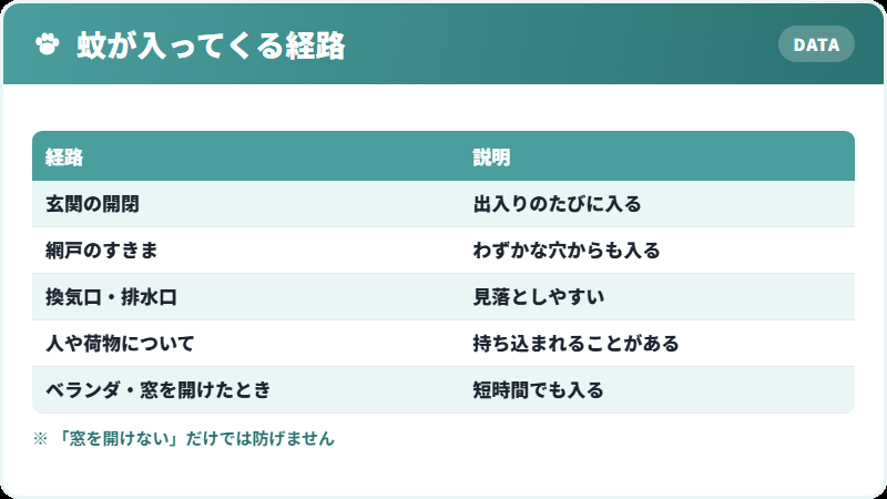 蚊が室内に入る経路