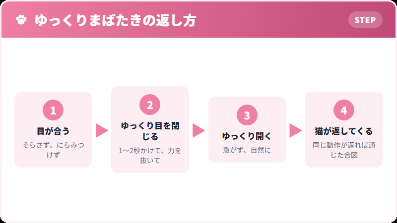 猫のゆっくりまばたきの意味と返し方