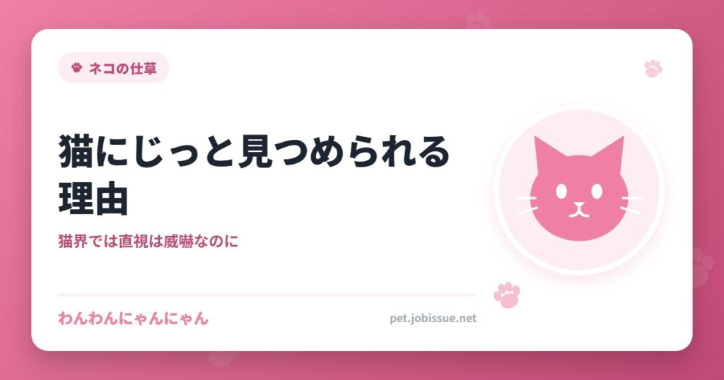 猫にじっと見つめられる理由