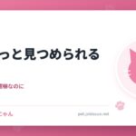 猫にじっと見つめられる理由