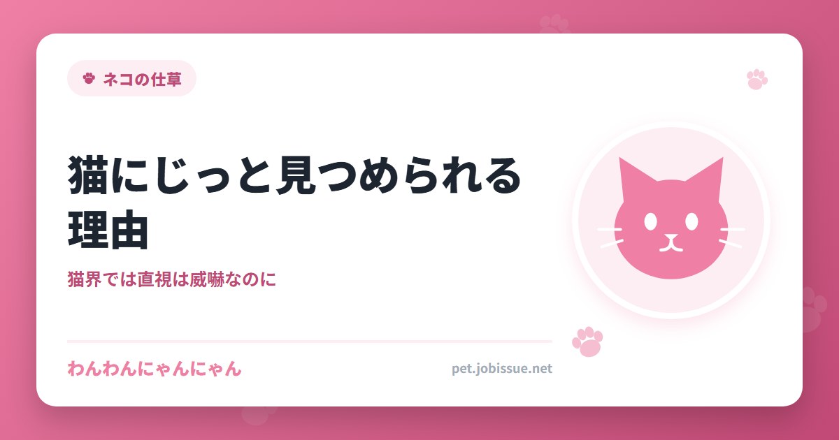 猫にじっと見つめられる理由