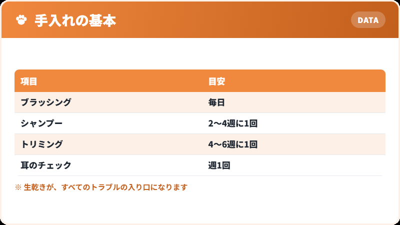 皮膚を守る手入れの要点