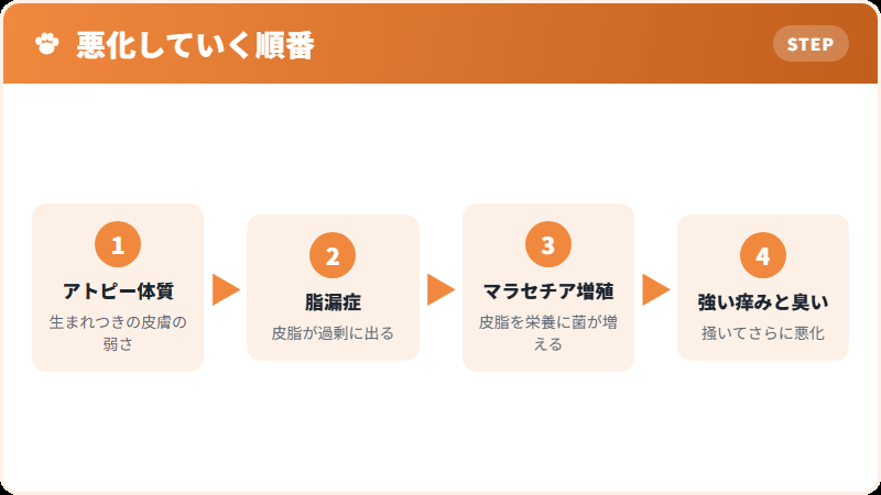 皮膚トラブルが進んでいく連鎖