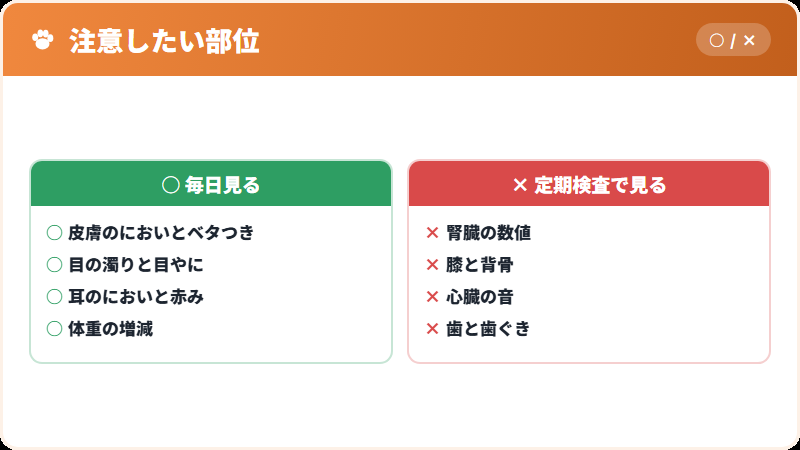 シーズーで注意したい病気