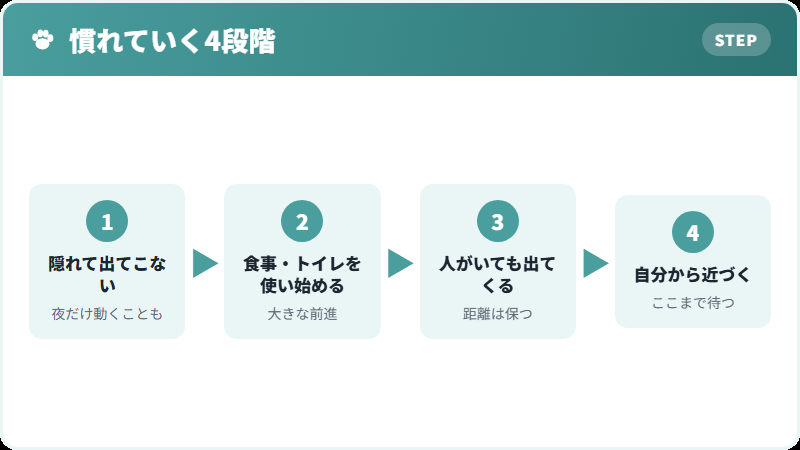慣れるまでの経過