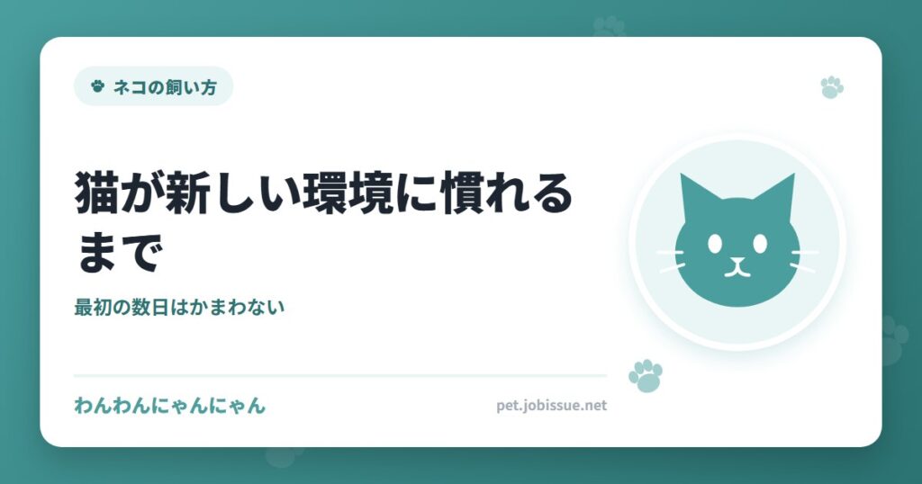 猫が新しい環境に慣れるまで