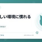 猫が新しい環境に慣れるまで