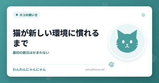 猫が新しい環境に慣れるまで