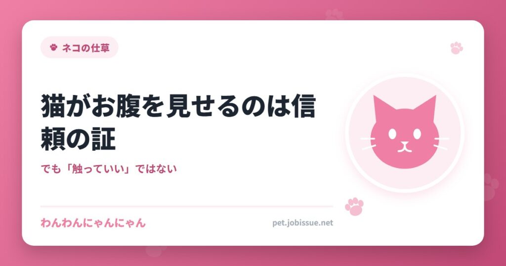 猫がお腹を見せるのは信頼の証