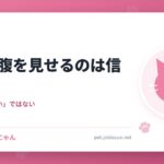 猫がお腹を見せるのは信頼の証