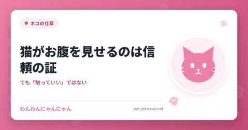 猫がお腹を見せるのは信頼の証