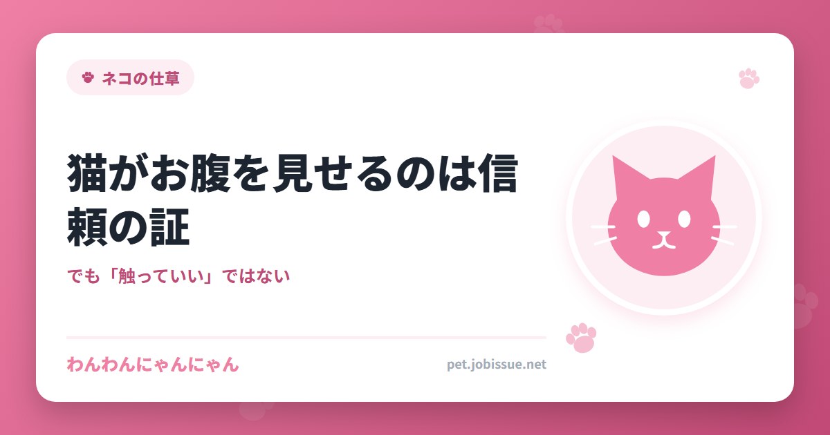 猫がお腹を見せるのは信頼の証
