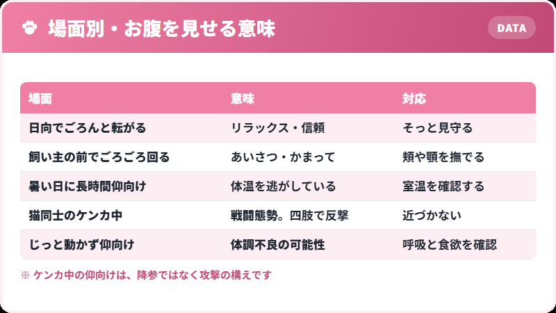猫がお腹を見せる場面と、それぞれの意味の表