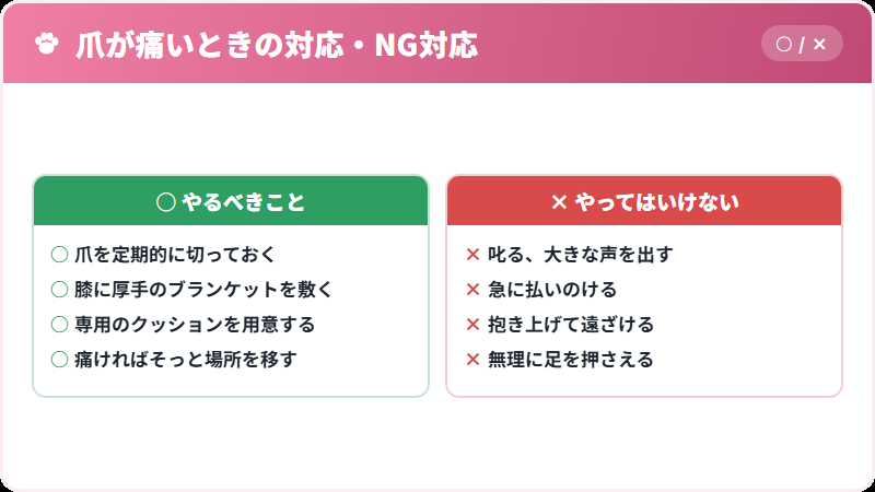 ふみふみの爪が痛いときの正しい対処法とNG対応
