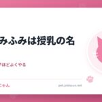 猫のふみふみは授乳の名残