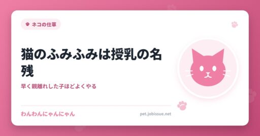 猫のふみふみは授乳の名残