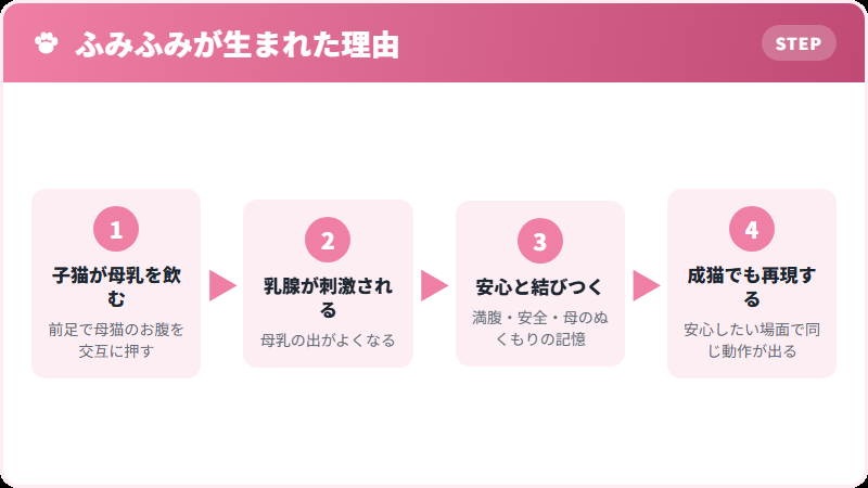 猫のふみふみが授乳行動の名残であることを示す図