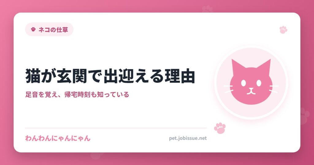 猫が玄関で出迎える理由