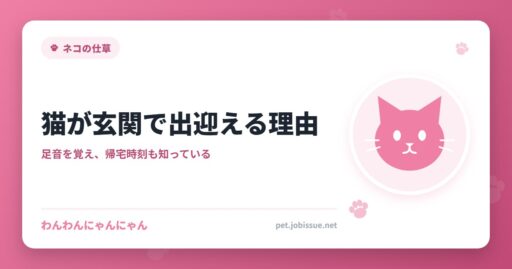 猫が玄関で出迎える理由