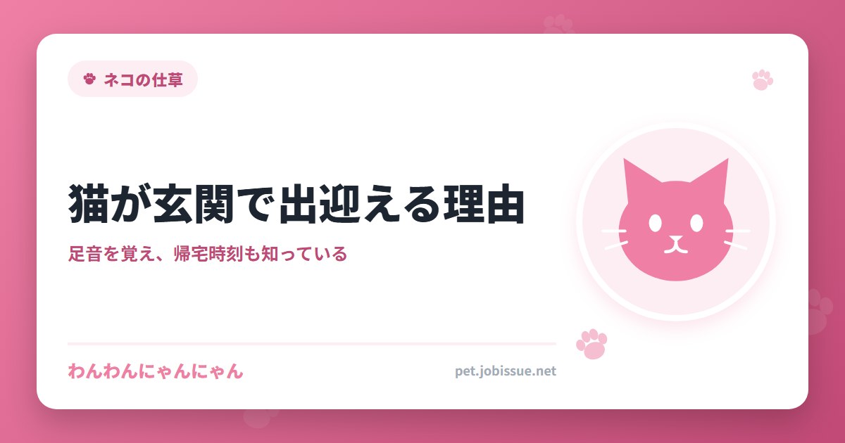 猫が玄関で出迎える理由