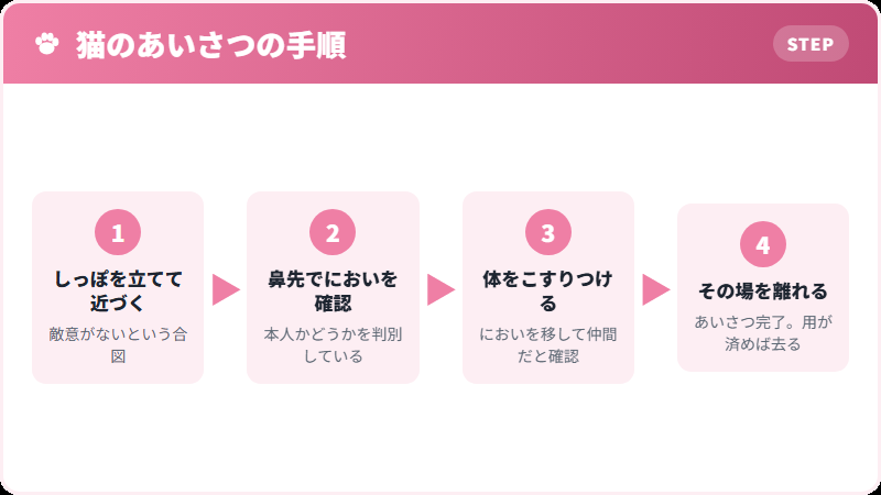 猫の出迎えあいさつの流れ