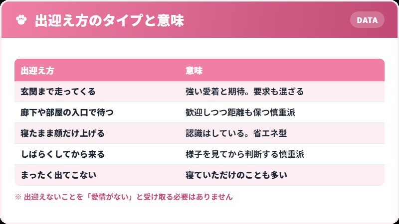 出迎え方の違いと猫の性格の関係表