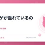 猫のヒゲが垂れているのは
