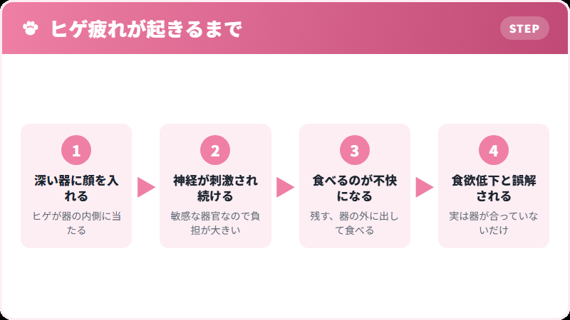 猫のヒゲ疲れ（ホイスカーファティーグ）が起きる仕組み