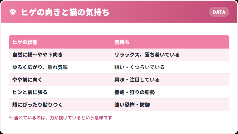 猫のヒゲの向きと感情の対応表