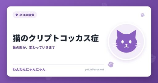 猫のクリプトコッカス症